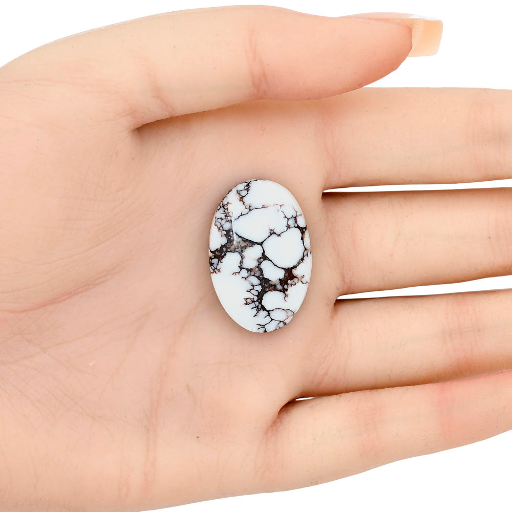 Wild Horse Jasper 27.7x18.7x6.3 mm Oval Gemstone LS03277-15