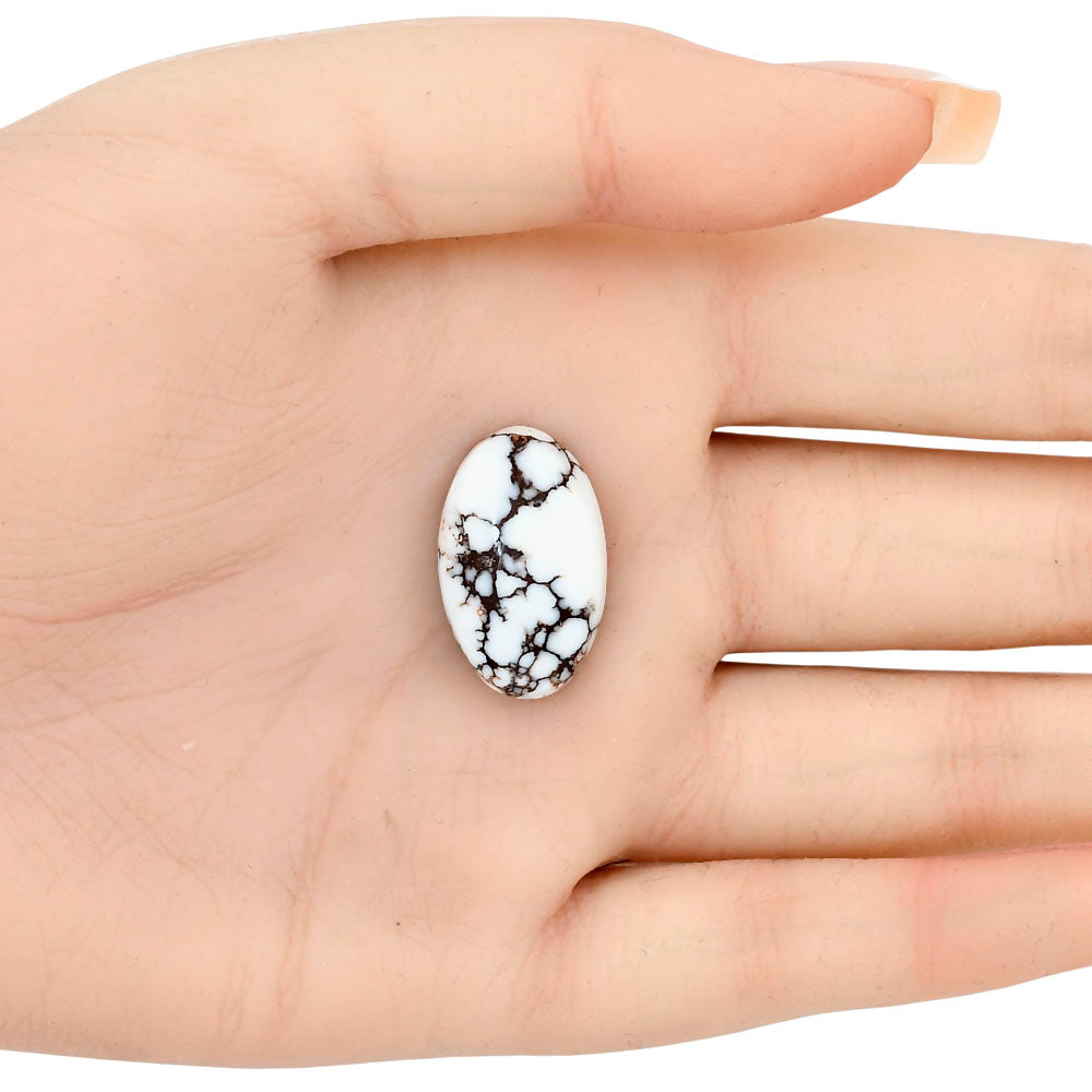 Wild Horse Jasper 23.24x14.3x7.2 mm Oval Gemstone LS03278-15