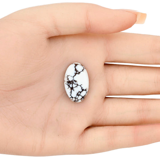 Wild Horse Jasper 23.24x14.3x7.2 mm Oval Gemstone LS03278-15