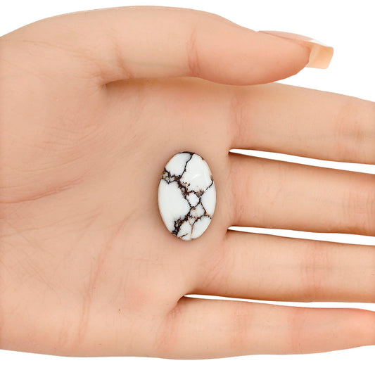 Wild Horse Jasper 22.76x14.8x3.6 mm Oval Gemstone LS03285-15