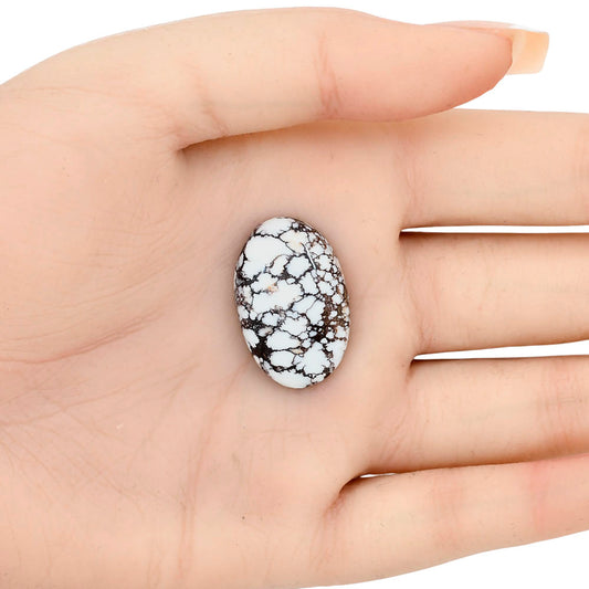 Wild Horse Jasper 26.61x17x5.8 mm Oval Gemstone LS03290-15