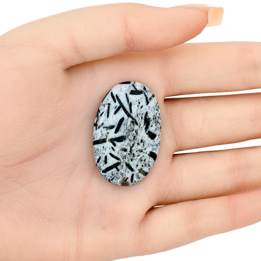 Hornblende 36.67x23.8x5.5 mm Oval Gemstone LS03292-54