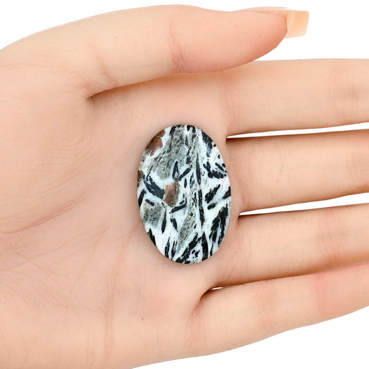 Hornblende 34.95x23.4x4.7 mm Oval Gemstone LS03320-54
