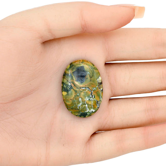 Rhyolite - Rainforest Jasper 31.75x22.5x6.5 mm Oval Gemstone LS03470-58