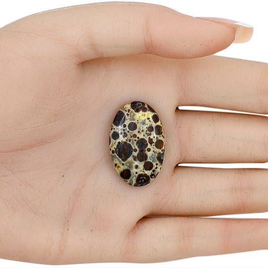 Asteroid Jasper 28.85x19x4.8 mm Oval Gemstone LS03619-62