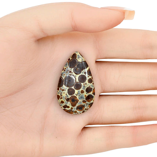 Asteroid Jasper 36.6x22x5.5 mm Pear Gemstone LS03621-62