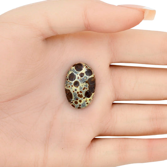 Asteroid Jasper 24.1x16.1x6 mm Oval Gemstone LS03622-62