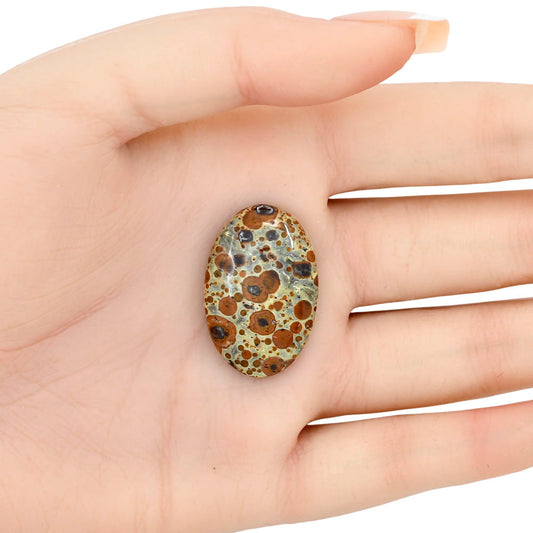 Asteroid Jasper 29.65x19.5x5.7 mm Oval Gemstone LS03623-62