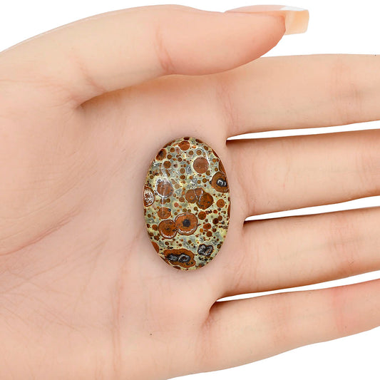Asteroid Jasper 32x20.8x6 mm Oval Gemstone LS03625-62