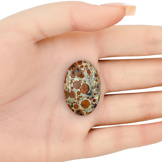 Asteroid Jasper 31x20.6x5 mm Oval Gemstone LS03626-62