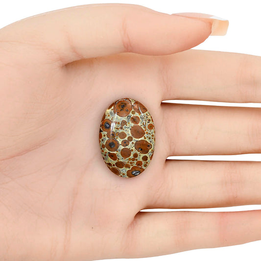 Asteroid Jasper 28x19.7x4.8 mm Oval Gemstone LS03627-62