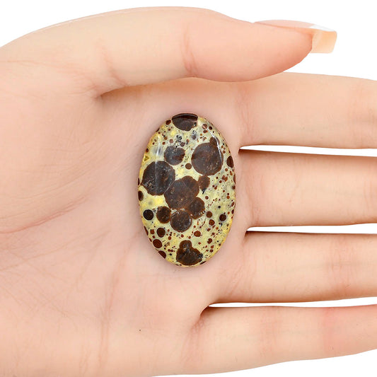 Asteroid Jasper 37x23.6x5.8 mm Oval Gemstone LS03629-62