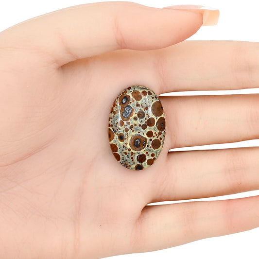 Asteroid Jasper 30x20.4x6 mm Oval Gemstone LS03632-62