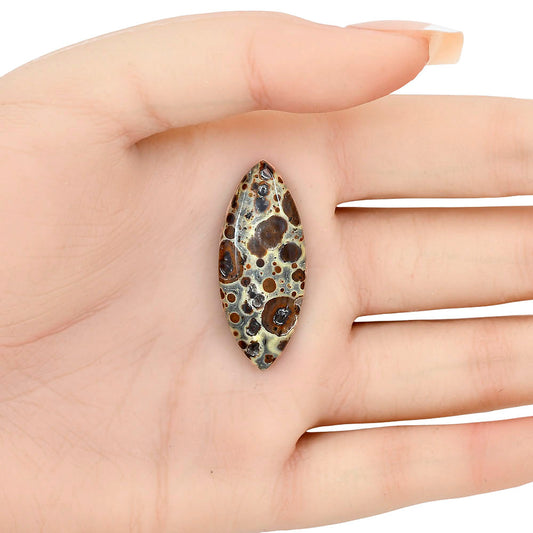 Asteroid Jasper 35.85x15x5 mm Marquise Gemstone LS03633-62