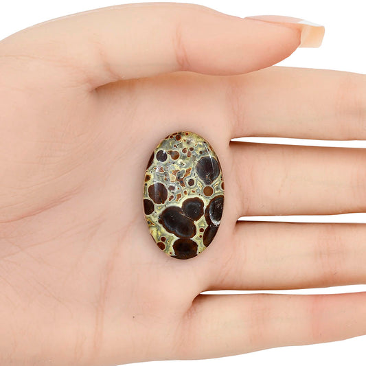Asteroid Jasper 32x20.3x5 mm Oval Gemstone LS03636-62
