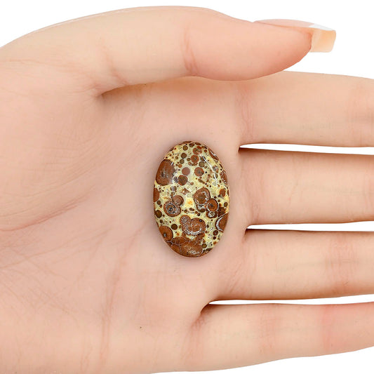 Asteroid Jasper 28.3x18.7x5.7 mm Oval Gemstone LS03637-62