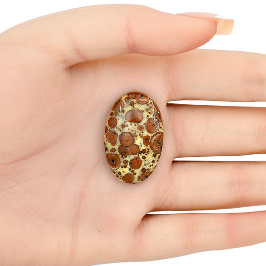 Asteroid Jasper 31.75x20.35x6 mm Oval Gemstone LS03638-62