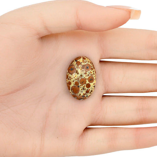 Asteroid Jasper 25x17.1x6 mm Oval Gemstone LS03639-62