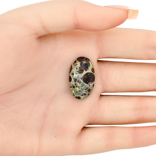 Asteroid Jasper 24.5x14.85x5 mm Oval Gemstone LS03640-62