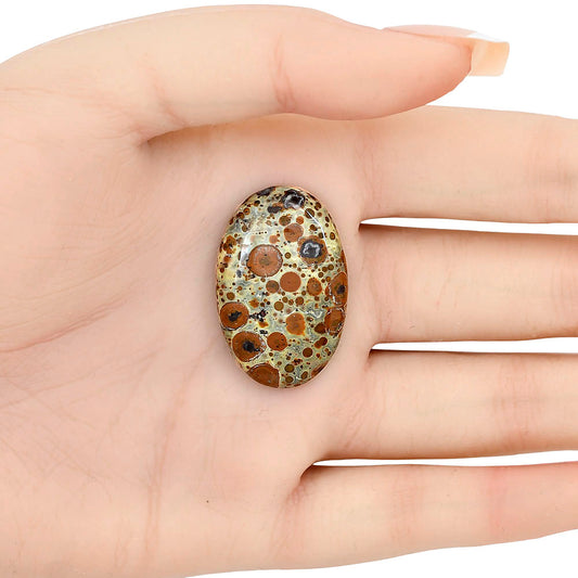 Asteroid Jasper 32x20.8x5.2 mm Oval Gemstone LS03641-62