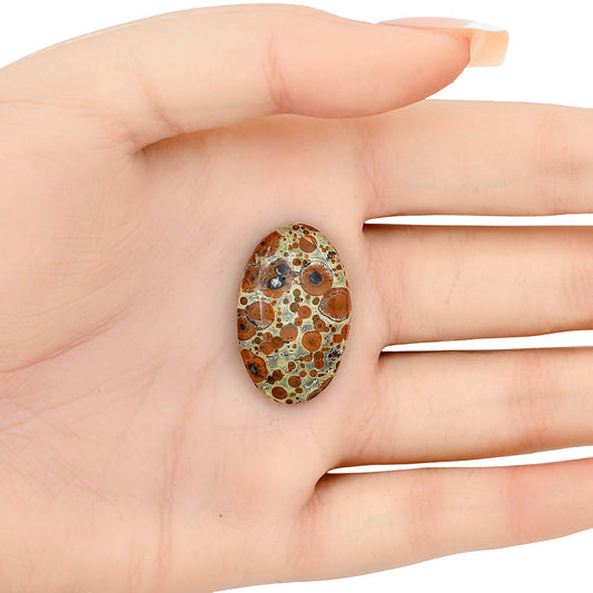 Asteroid Jasper 27.8x17.45x4.7 mm Oval Gemstone LS03642-62