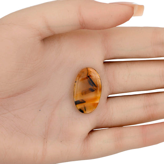 Montana Agate 25.6x15.5x3 mm Oval Gemstone LS03913-40