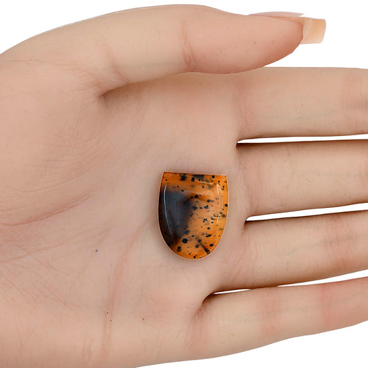 Montana Agate 21.5x17.4x4.3 mm Fancy Gemstone LS03924-40