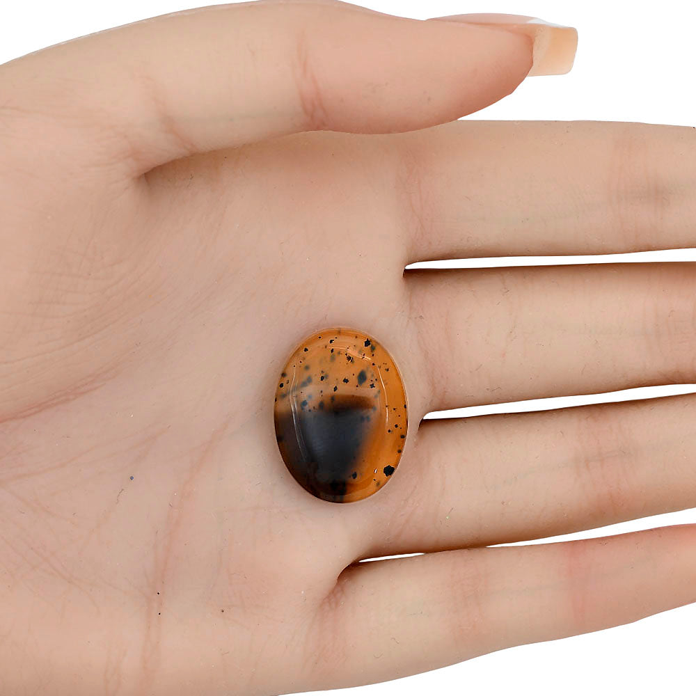 Montana Agate 22.7x17.5x4.5 mm Oval Gemstone LS03937-40