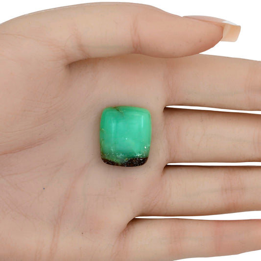 Boulder Chrysoprase 20.45x17.4x6.5 mm Baguette Gemstone LS03951-67
