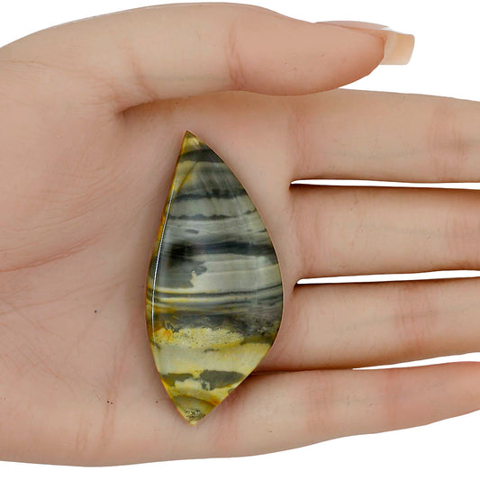 Willow Creek Jasper 57.4x27x4.5 mm Fancy Gemstone LS04059-99
