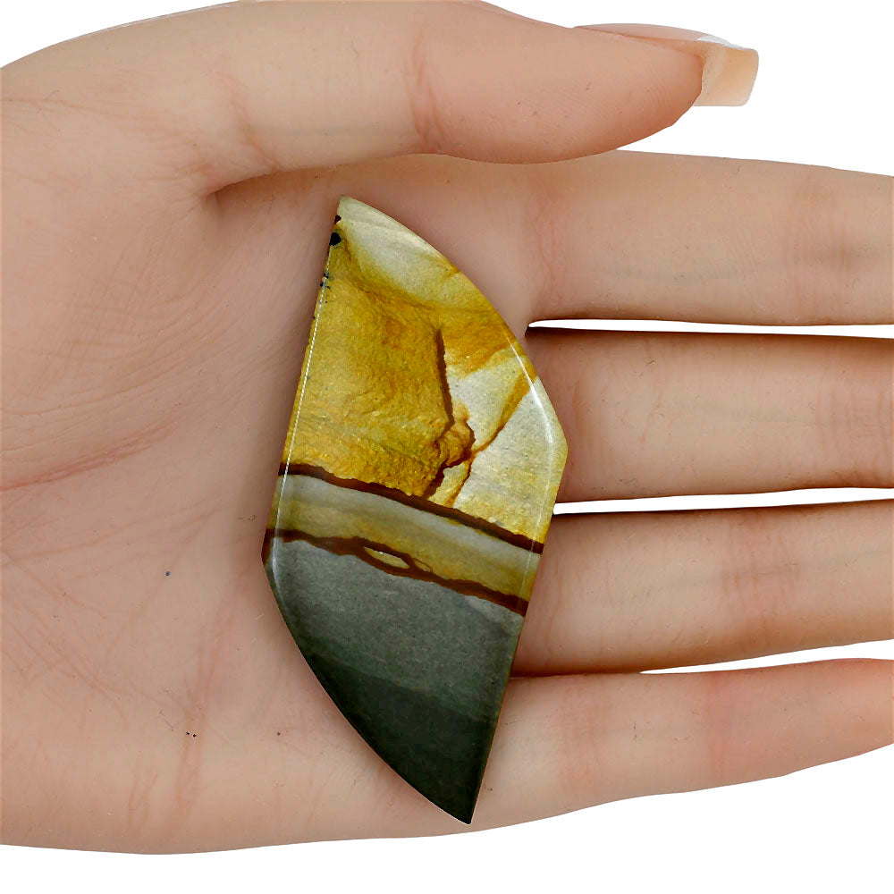 Picture Jasper 67x29x4.5 mm Fancy Gemstone LS04060-99