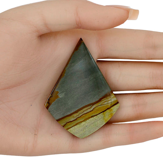 Picture Jasper 57.7x43.5x5 mm Fancy Gemstone LS04064-99