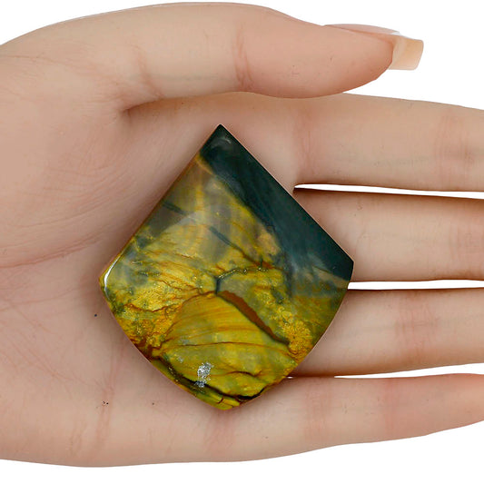 Willow Creek Jasper 55x49.6x6.5 mm Fancy Gemstone LS04070-99