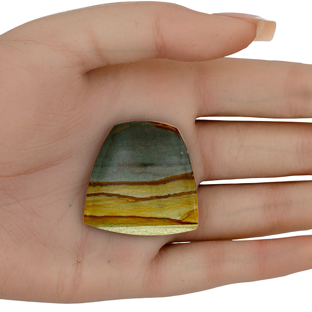 Picture Jasper 34.25x34.15x5 mm Fancy Gemstone LS04073-99