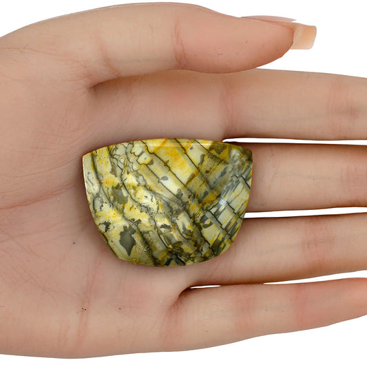 Willow Creek Jasper 43.3x32.65x5 mm Fancy Gemstone LS04074-99