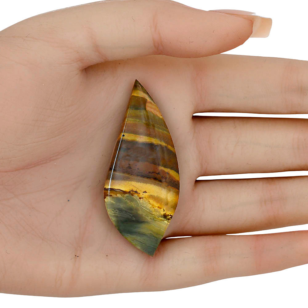 Willow Creek Jasper 53.9x23x5 mm Fancy Gemstone LS04078-99