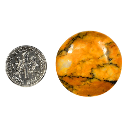 Honey Dendritic Opal 28.5x28.5x7 mm Round Shape Polished Gemstone LS100-05997
