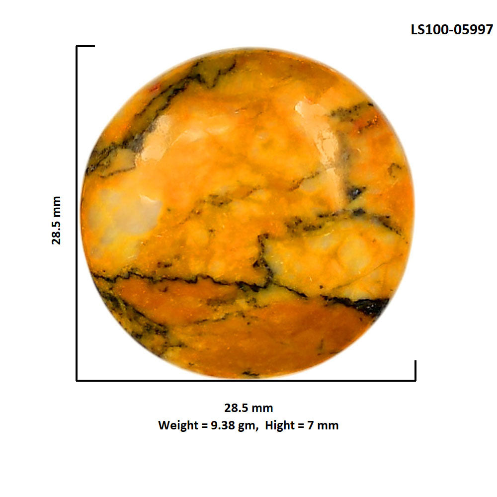 Honey Dendritic Opal 28.5x28.5x7 mm Round Shape Polished Gemstone LS100-05997