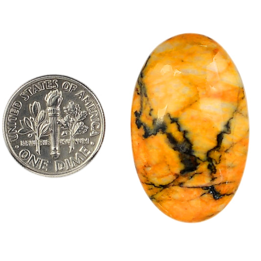 Honey Dendritic Opal 20.85x33x7 mm Oval Shape Polished Gemstone LS100-05999