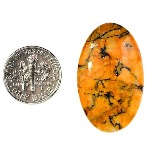 Honey Dendritic Opal 20.5x33.6x6 mm Oval Shape Polished Gemstone LS100-06001