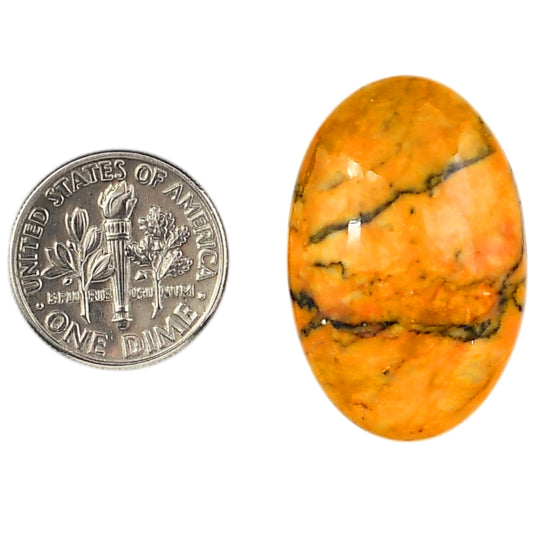 Honey Dendritic Opal 19.5x29.6x6.8 mm Oval Shape Polished Gemstone LS100-06002