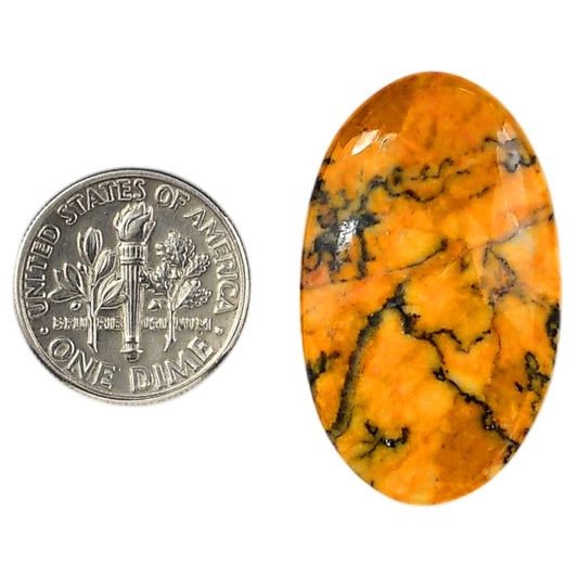 Honey Dendritic Opal 19.7x32.6x5 mm Oval Shape Polished Gemstone LS100-06004