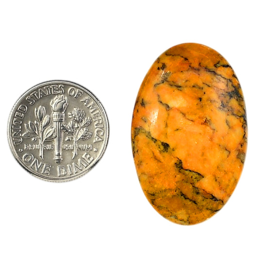 Honey Dendritic Opal 20.5x31.75x5.5 mm Oval Shape Polished Gemstone LS100-06005