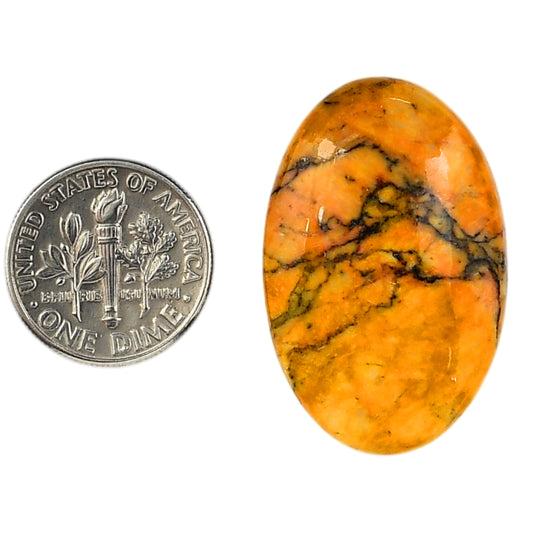 Honey Dendritic Opal 21x32.3x6 mm Oval Shape Polished Gemstone LS100-06008