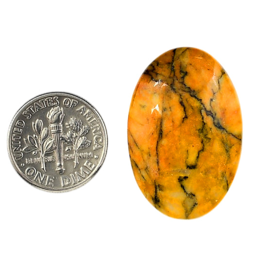 Honey Dendritic Opal 20.3x30.4x5.5 mm Oval Shape Polished Gemstone LS100-06009