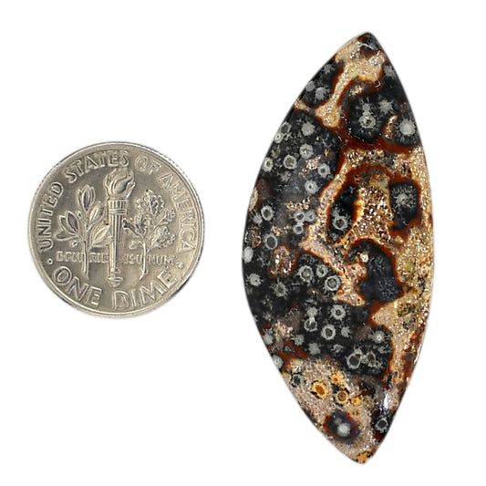 Viper Skin Jasper 19.2x43.4x5.5 mm Fancy Shape Polished Gemstone LS101-06025
