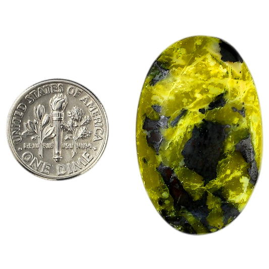 Lizardite 22.2x34.75x5.7 mm Oval Shape Polished Gemstone LS108-06169