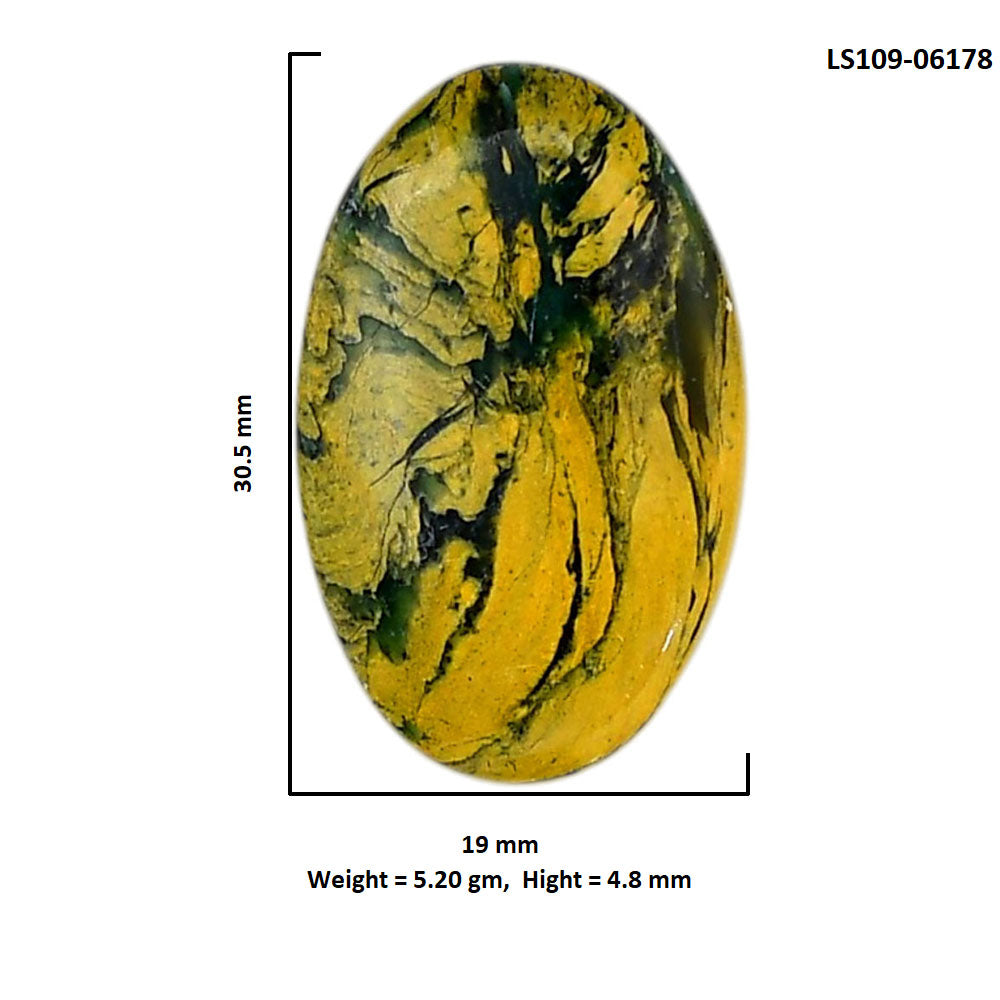 Mariposite 19x30.5x4.8 mm Oval Shape Polished Gemstone LS109-06178