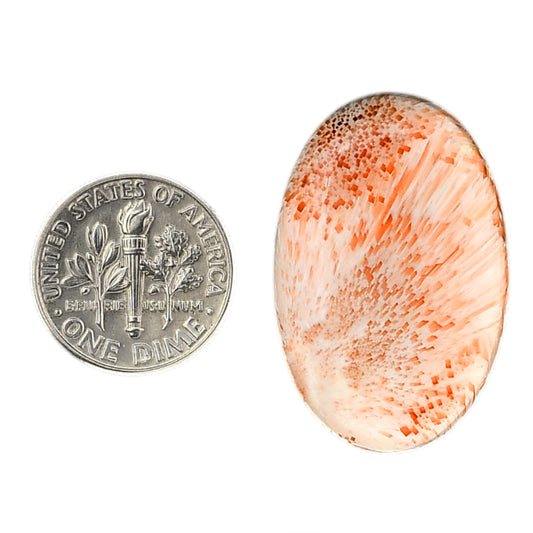 Orange Scolecite 20.5x31.35x6.3 mm Oval Shape Polished Gemstone LS110-06197