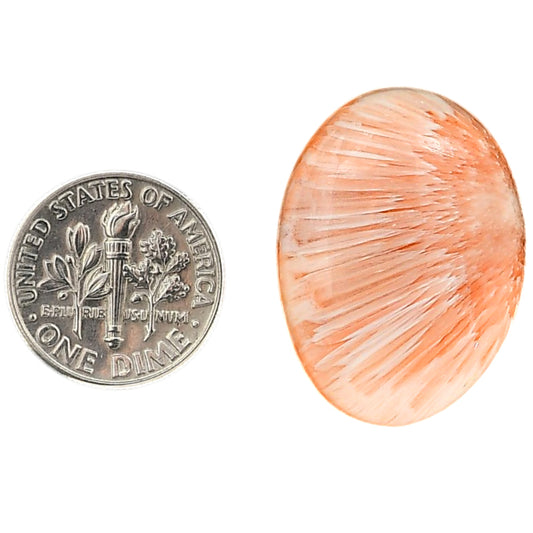 Orange Scolecite 20.3x27.6x6.8 mm Oval Shape Polished Gemstone LS110-06206